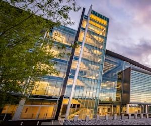 Las criptomonedas ofrecen un alto potencial de rentabilidad y mayor libertad financiera gracias a su descentralización, operando en un mercado abierto las 24 horas. Sin embargo, son un activo de alto riesgo debido a su extrema volatilidad y la falta de regulación. Los principales riesgos incluyen pérdidas rápidas y fallos de ciberseguridad. La clave del éxito reside en invertir únicamente con una estrategia clara y con capital que no comprometa su estabilidad financiera.